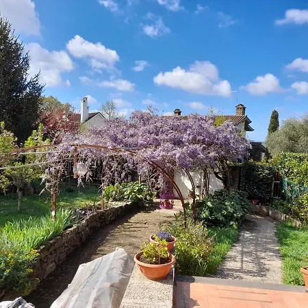 Il Glicine Guest house Sutri
