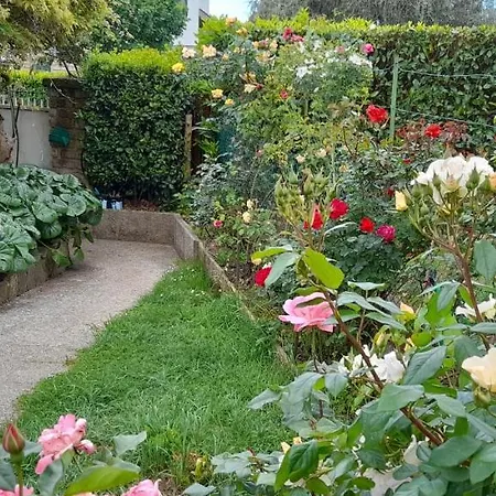 Guest house Il Glicine